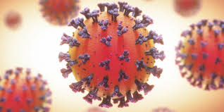 Coronavirus - Alimentos naturales para mantener las defensas fuertes. ¿Qué productos pueden ser beneficiosos para fortalecer nuestras defensas?