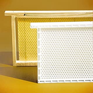 Dadant - Hoja de panal de plástico para miel, marco y pared central de plástico