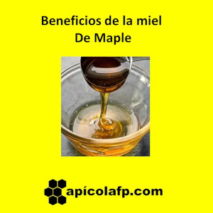 Beneficios de la miel jarabe o sirope de maple Apícolafp. Cómo se hace o produce la miel de maple