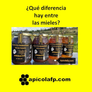 Diferencia entre los siropes, jaraves, mieles claras, oscuras, Miel de Mielada y la miel Floral