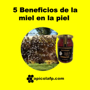 5 beneficios de la miel en la piel. Beneficios de usar Miel en la Piel seca, grasa, quemada por el sol o frío, irritada y amarillenta. Es Hidratante y Exfoliante.