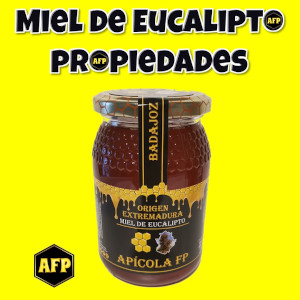Miel de eucalipto y sus propiedades curativas. Qué es, para qué sirve y cual es la mejor miel de eucalipto para niños.