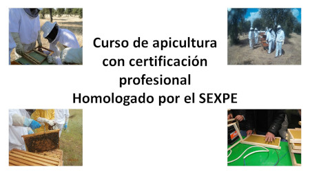 Curso de iniciación a la apicultura Gratis en España con prácticas ¿Qué se necesita para ser apicultor? ¿Qué se aprende en un curso Apícola?