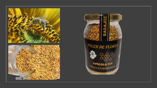 Síntomas de alergias al polen de abeja, remedios y cómo aliviar síntomas de alergias al polen. Aerobiología y el polen qué es. ¿Qué efectos tiene el polen de abeja? ¿Cómo tomar el polen de abeja para las alergias? ¿Cuáles son los síntomas de alergias por el polen?