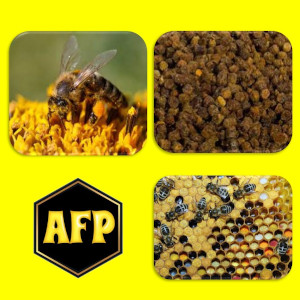 ¿Qué es el pan de abeja? Cómo se hace el pan de abeja. Pan de abeja propiedades y beneficios. ¿Cómo conservar el pan de abeja? Cómo se come el pan de abeja.