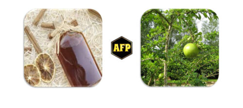 Miel de guaro o güira qué es : Árbol de güira o guaro qué es. Beneficios de la miel de güira o guaro. Cómo es el sabor de la miel de güira.